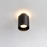 Eltang Ceiling Light