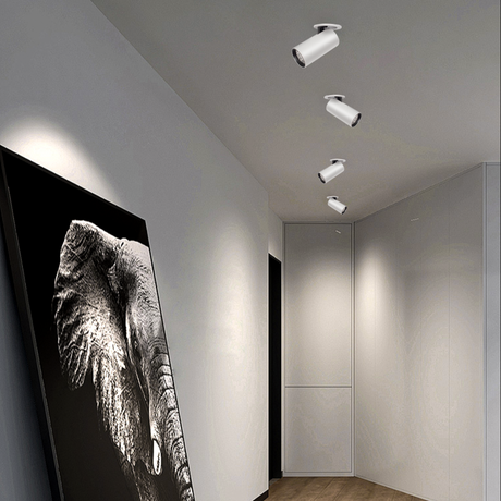 Caine Downlight