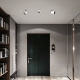 Caine Downlight