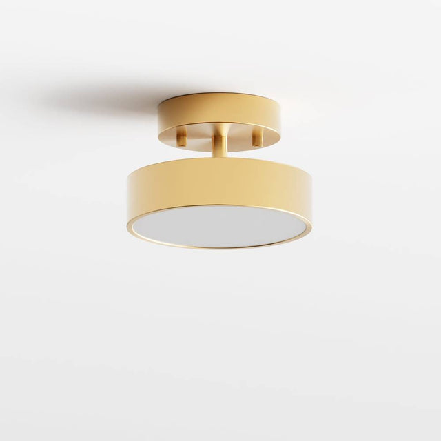 Bismuth Ceiling Light