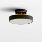 Bismuth Ceiling Light