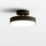 Bismuth Ceiling Light