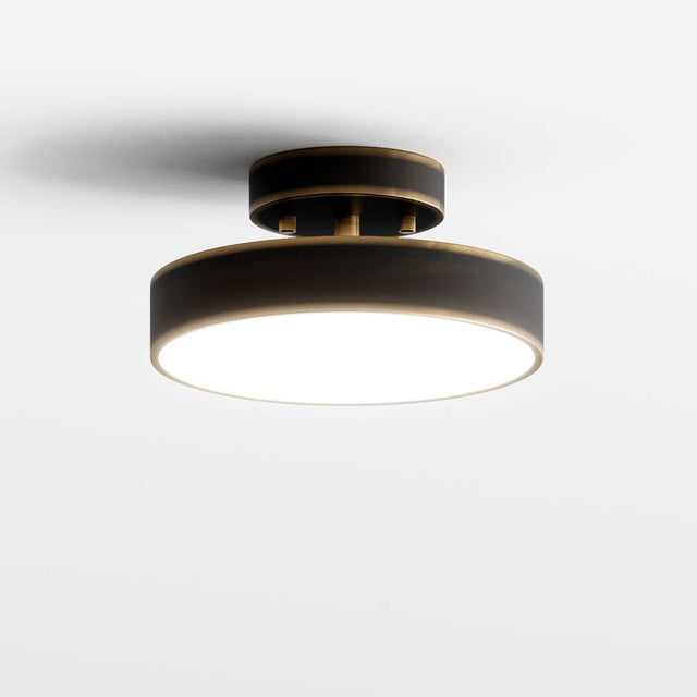 Bismuth Ceiling Light