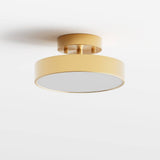 Bismuth Ceiling Light