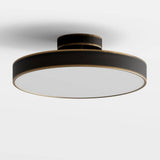 Bismuth Ceiling Light