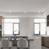 Balling Downlight