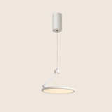 Asperup Pendant Light