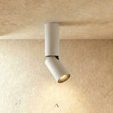 Aale Ceiling Light