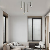 Aale Ceiling Light