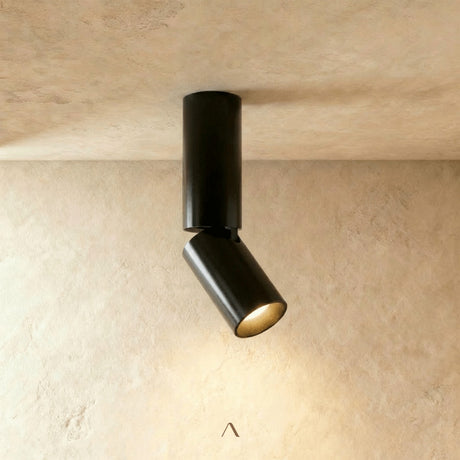 Aale Ceiling Light