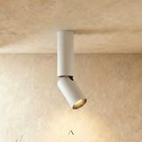Aale Ceiling Light