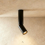 Aale Ceiling Light