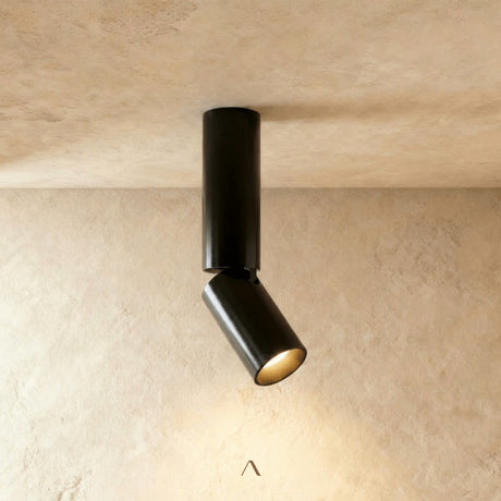 Aale Ceiling Light