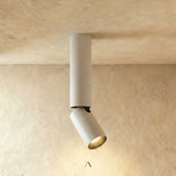 Aale Ceiling Light