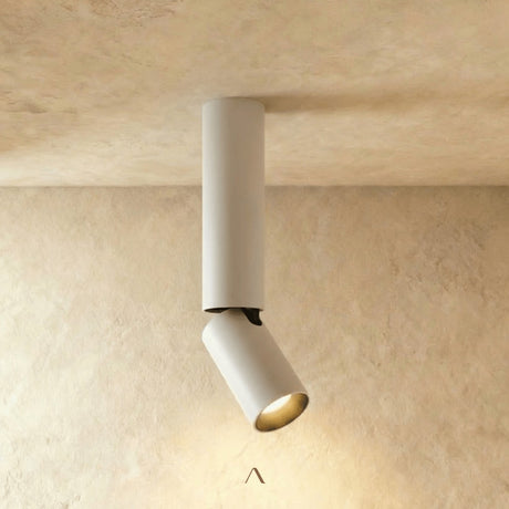 Aale Ceiling Light
