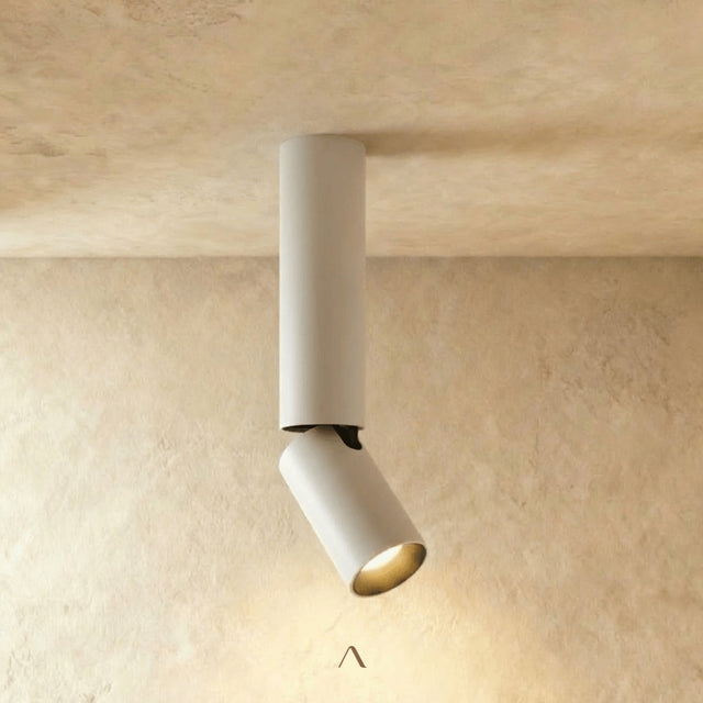 Aale Ceiling Light