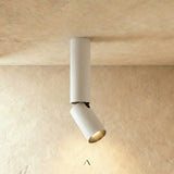 Aale Ceiling Light