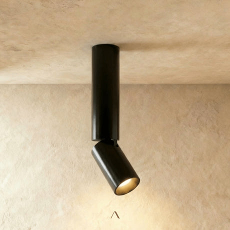 Aale Ceiling Light