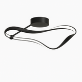 Tow Ceiling Light
