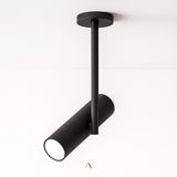 Aalum Ceiling Light