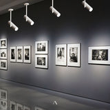 Aalum Ceiling Light