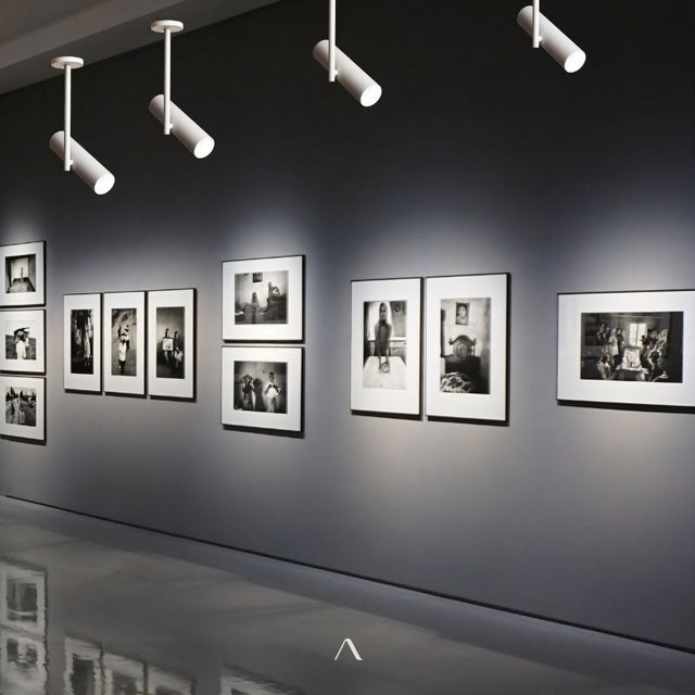 Aalum Ceiling Light
