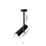 Aalum Ceiling Light