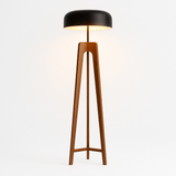 Onto Floor Lamp