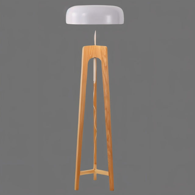 Onto Floor Lamp
