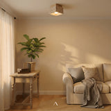 Albox Ceiling Light