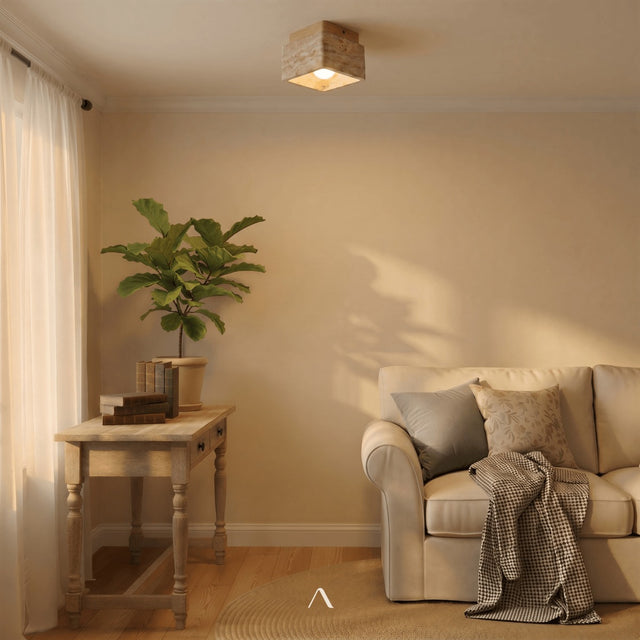 Albox Ceiling Light