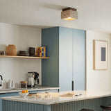 Albox Ceiling Light