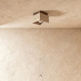 Albox Ceiling Light