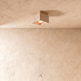 Albox Ceiling Light
