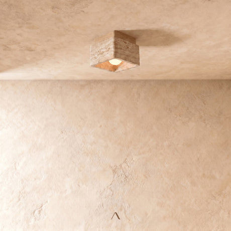 Albox Ceiling Light