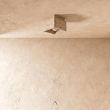 Albox Ceiling Light