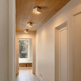 Albox Ceiling Light