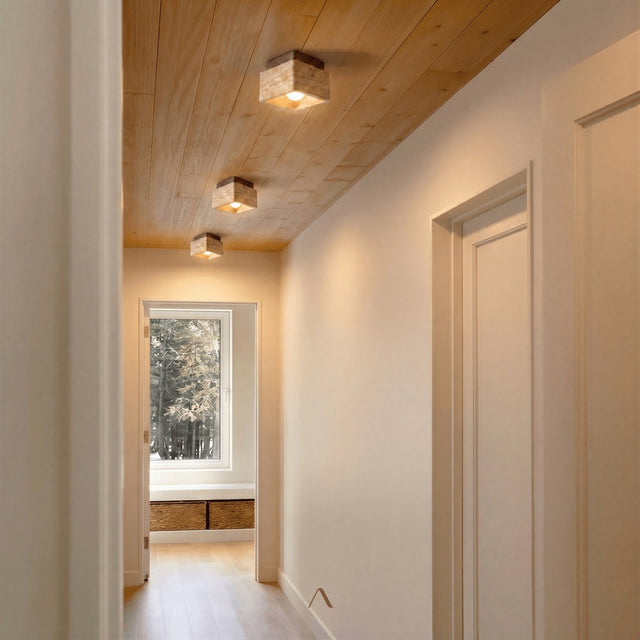 Albox Ceiling Light
