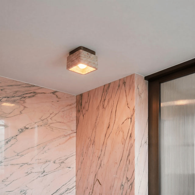 Albox Ceiling Light