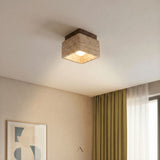 Albox Ceiling Light