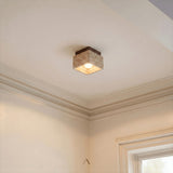 Albox Ceiling Light