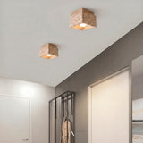 Albox Ceiling Light
