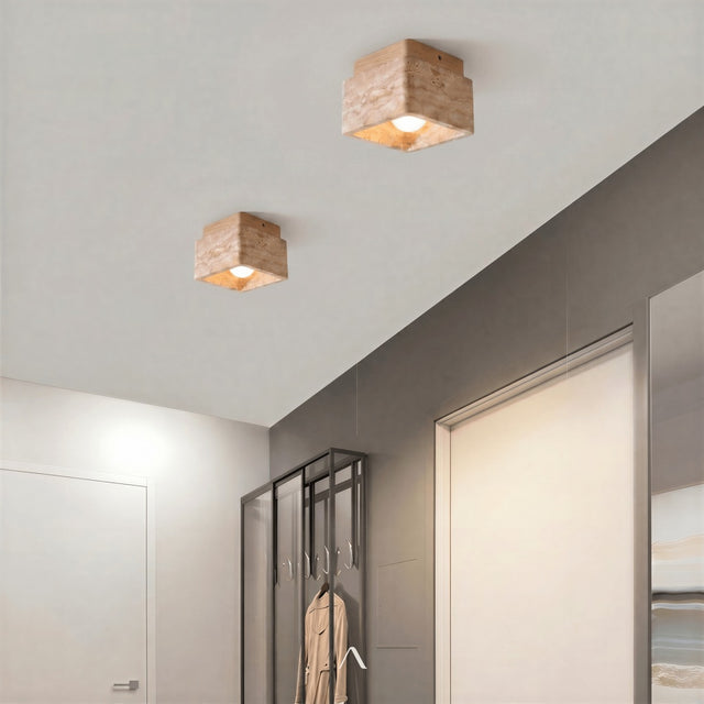 Albox Ceiling Light