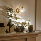 Almonte Wall Light