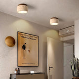 Rhone Ceiling Light
