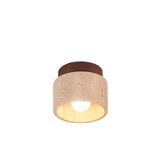 Rhone Ceiling Light