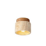 Rhone Ceiling Light