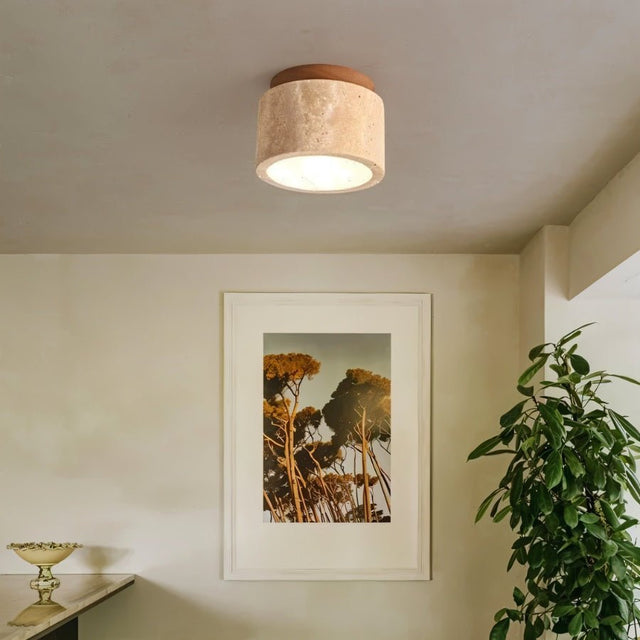 Rhone Ceiling Light