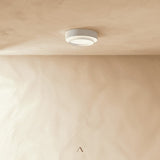 Alpen Ceiling Light