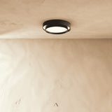 Alpen Ceiling Light